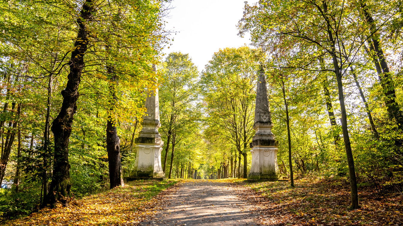 (c) Michelle Doninger | 1000things herbstliche Stimmung im Schwarzenbergpark in Wien