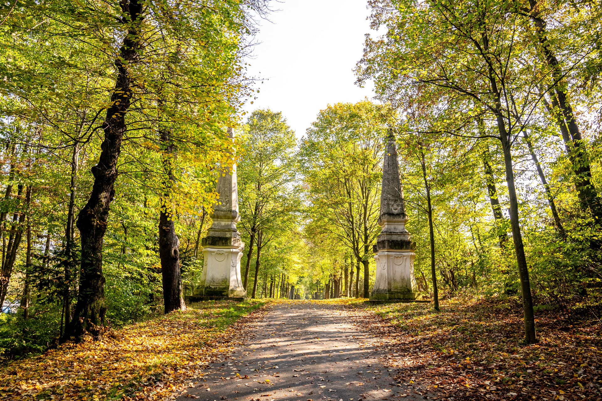 Herbst Spaziergänge Wien