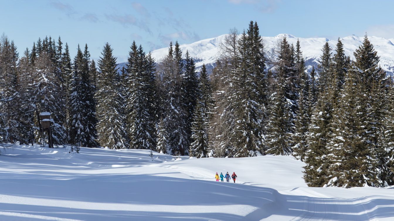 (c) TVB Osttirol | Berg im Bild OG Winterwanderdorf Kartitsch