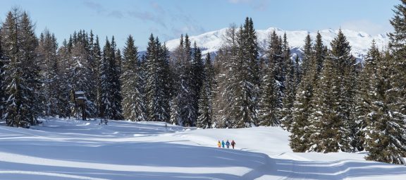 Winterwanderdorf Kartitsch