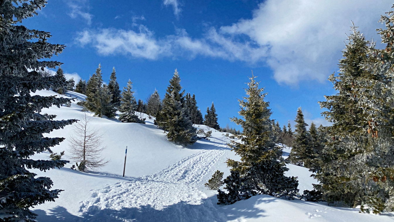 Schneeschuhwandern könnt ihr am Raxplateau (c) Alissa Hacker | 1000things Schneeschuhwandern am Raxplateau