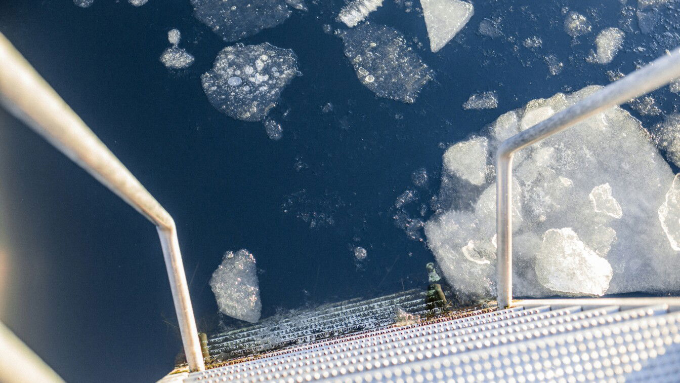 Ab ins kalte Wasser (c) Brian Kyed | unsplash Eisbaden in Wien