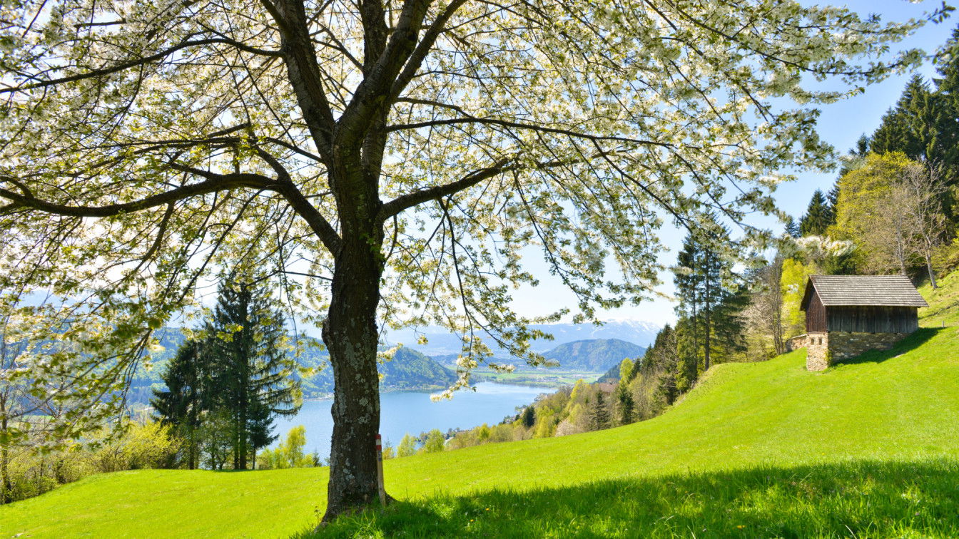 (c) Franz Gerdl | Kärnten Werbung Frühling Ossiacher See Kärnten Werbung