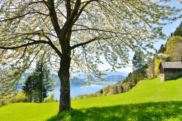 Frühling Ossiacher See Kärnten Werbung