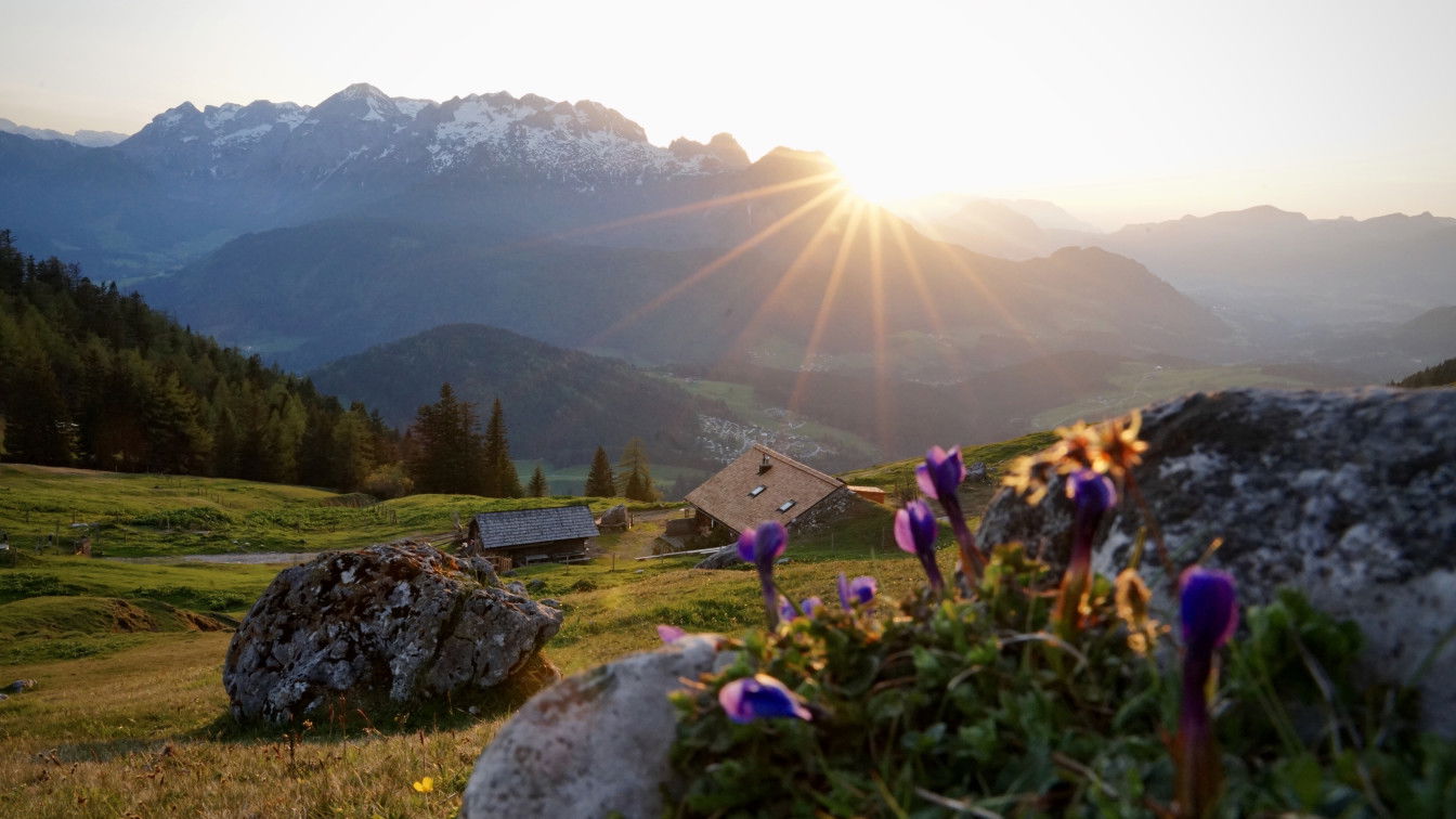 (c) Stuhlalm Stuhlalm
