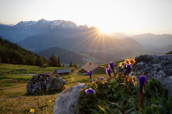 Stuhlalm