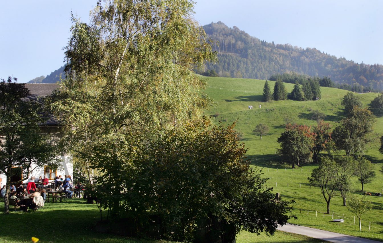 Gasthaus Grasberg, Waidhofen