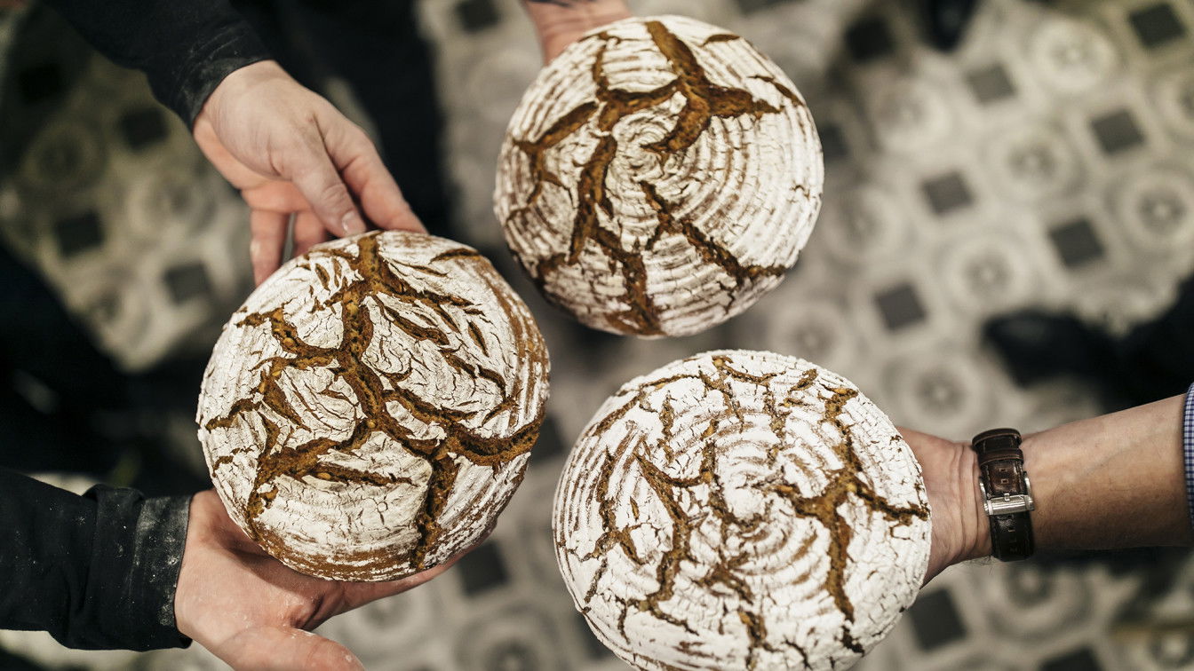 Frisch gebackenes Brot wie aus der Bäckerei (c) Lukas Lorenz Gewinnspiel Backkurs