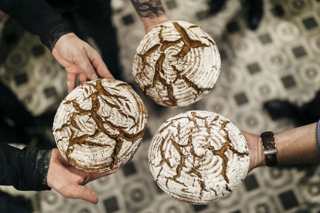 Frisch gebackenes Brot wie aus der Bäckerei (c) Lukas Lorenz Gewinnspiel Backkurs