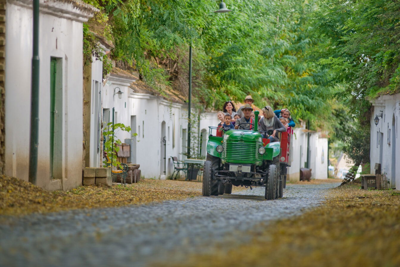 Kellergassen Führungen Weinviertel