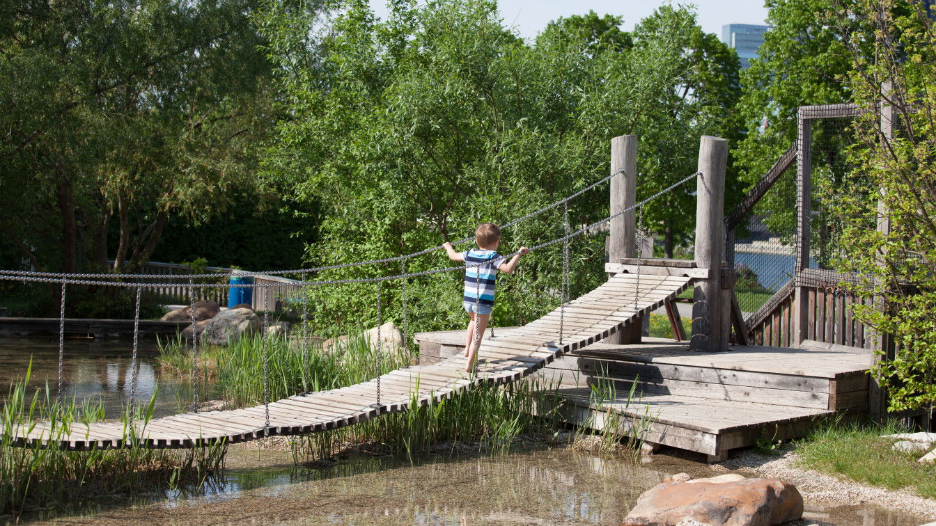 (c) Wiener Stadtgärten | Kvech Ein Kind geht über eine Hängebrücke auf dem Wasserspielplatz auf der Donauinsel