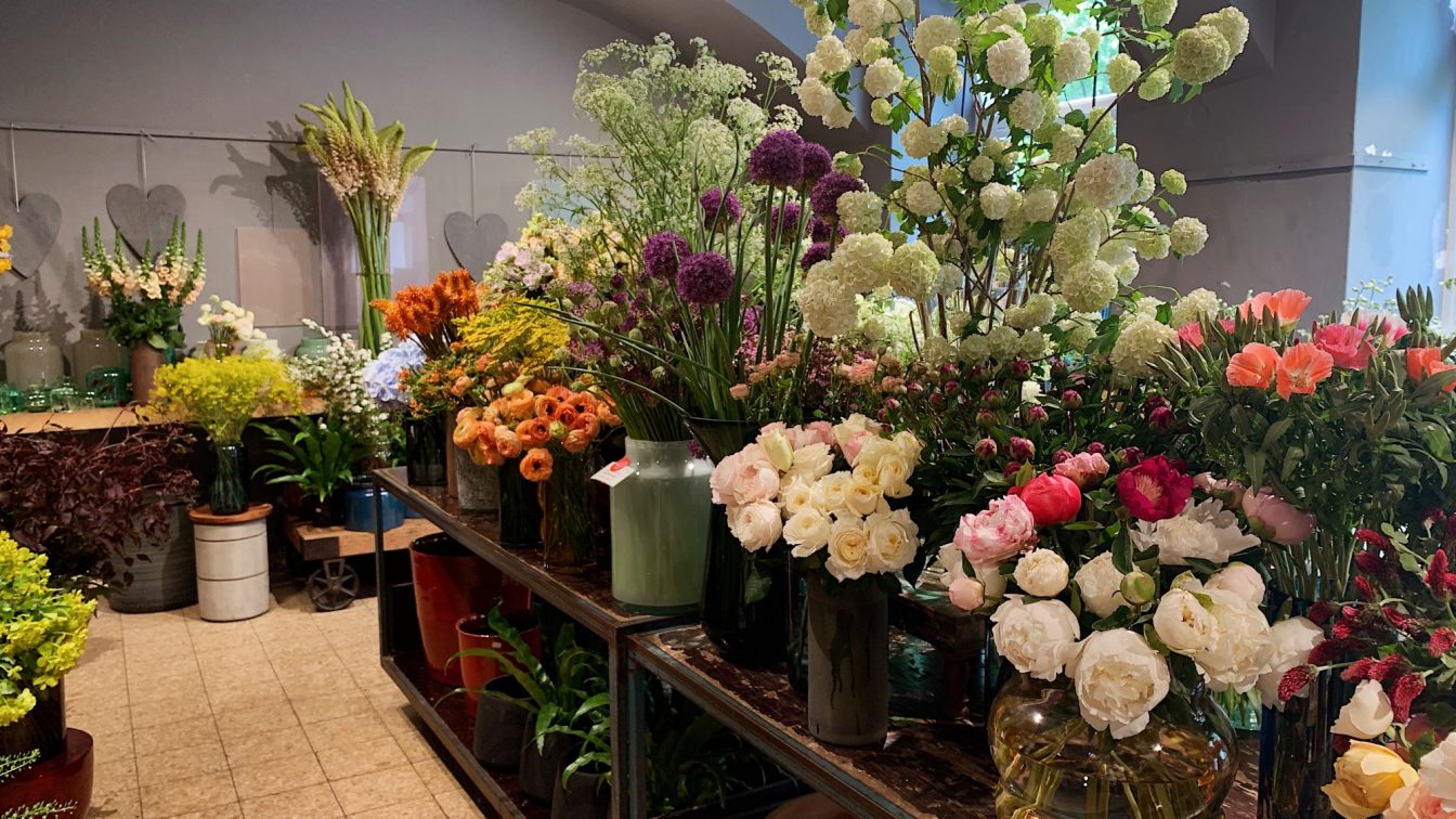 (c) Julia Scheriau | 1000things Schnittblumen im Blumenladen Doll's Blumen