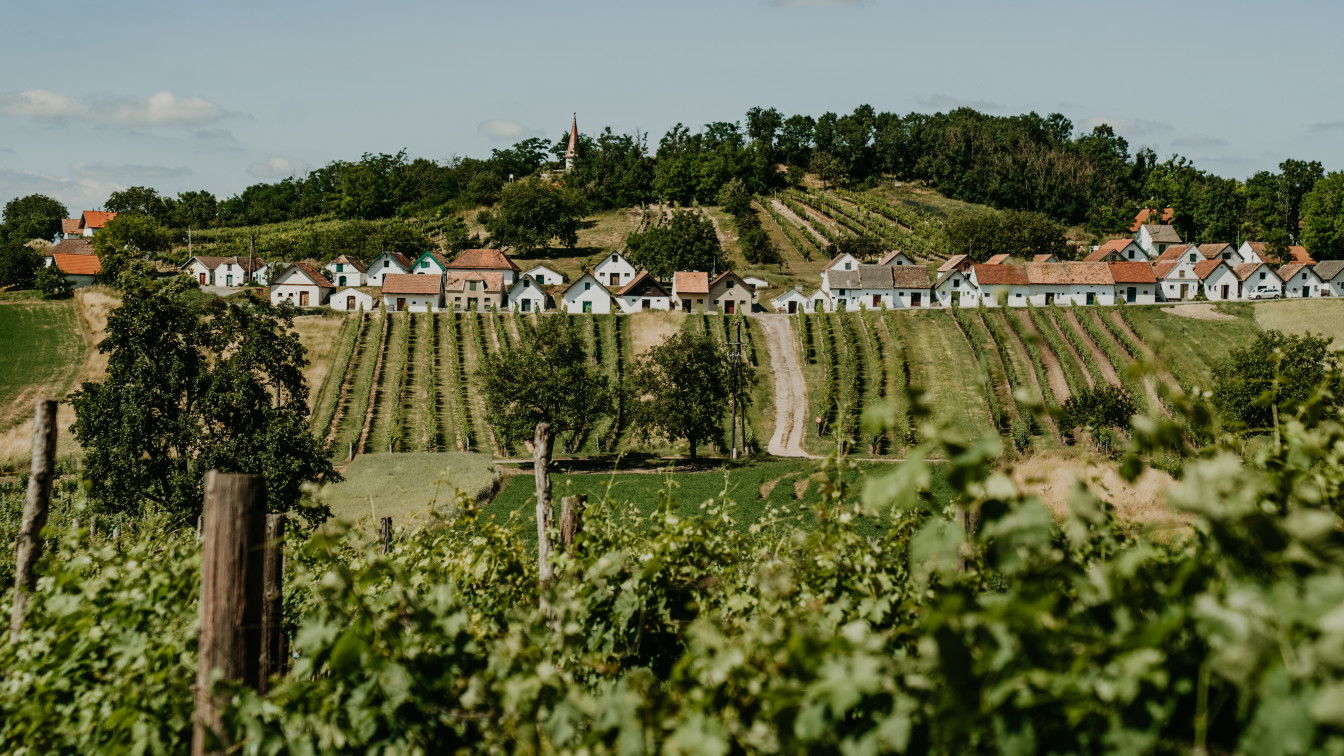 (c) Katharina Tesch | 1000things Kellergassen Österreich
