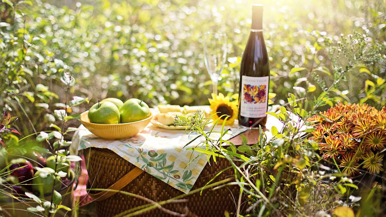 https://pixabay.com/de/photos/picknick-wein-%c3%a4pfel-herbst-frau-3661796/ Picknick Weinviertel