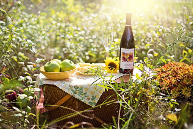 Picknick Weinviertel