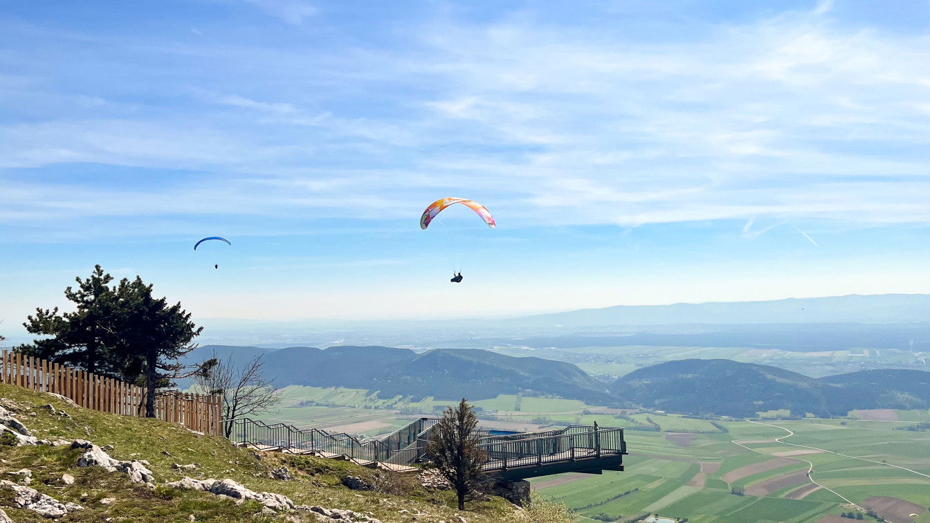 Eines der vielen coolen To-dos im Nationalpark Hohe Wand: der Skywalk (c) Michelle Doninger | 1000things wandern supradyn Naturpark hohe wand