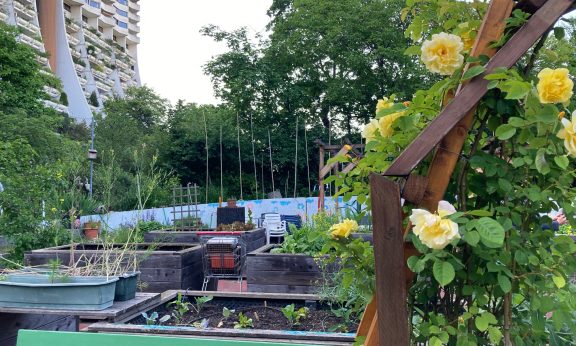 Urban Gardening in Alterlaa