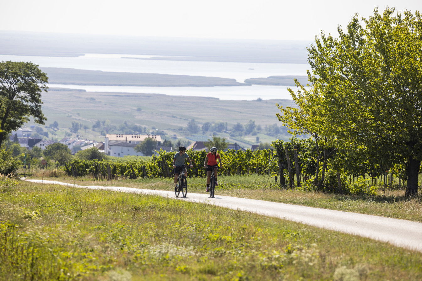 Zwei Personen sind auf einer Fahrradtour am Neusiedler See unterwegs, im Hintergrund sieht man den größten See des Burgenlandes