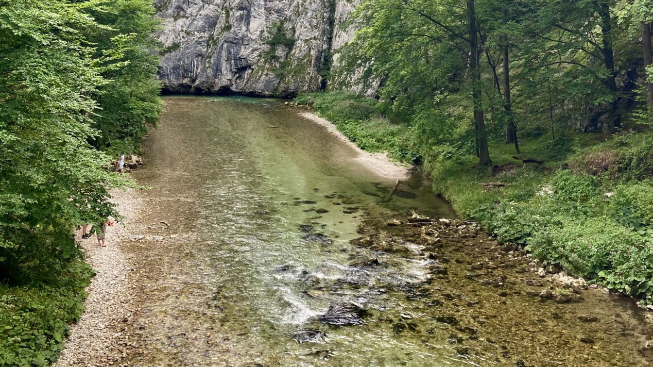 (c) Alissa Hacker | 1000things Der Wasserleitungsweg im Höllental