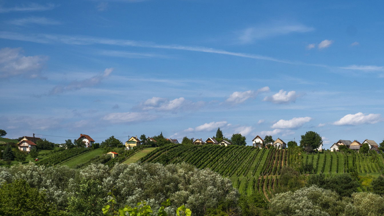 (c) Burgenland Tourismus GmbH | Birgit Machtinger Südburgenland Wein