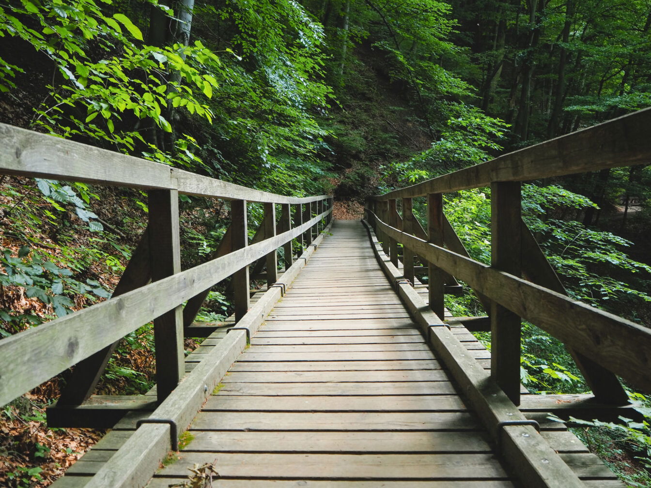 Eine kühle Wanderung in der Nähe von Wien: Holzbrücke bei der Hagenbachklamm in Niederösterreich