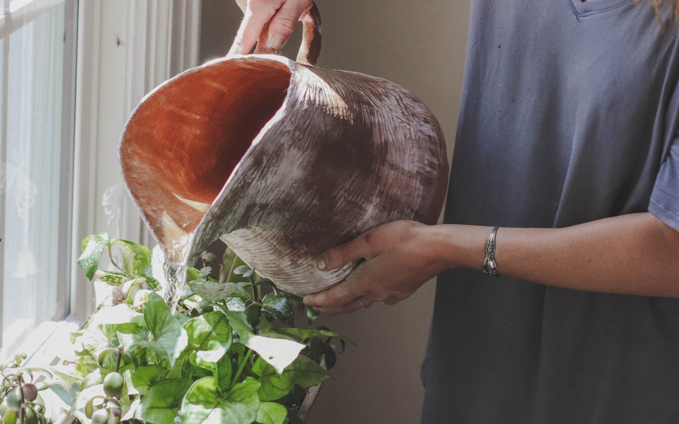 Zimmerpflanzen gießen