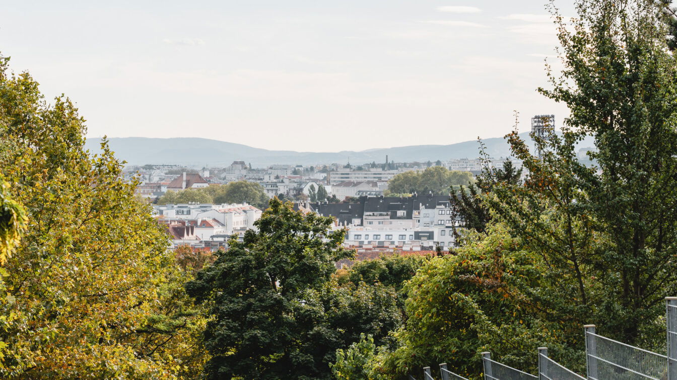 Die Aussicht vom Grünbeckweg | (c) Lilli Wermuth | 1000things Grünbeckweg Friedhof Hernals Aussicht