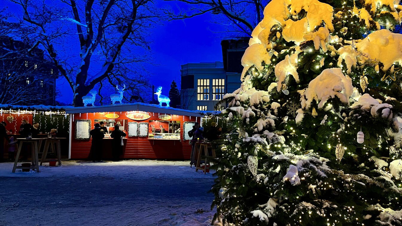 Türkenschanzpark Weihnachtsmarkt | (c) Julia Scheriau | 1000things