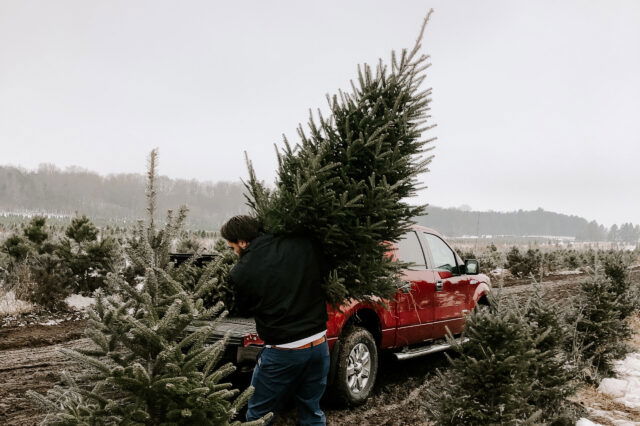 Faire Weihnachtsbäume in Wien