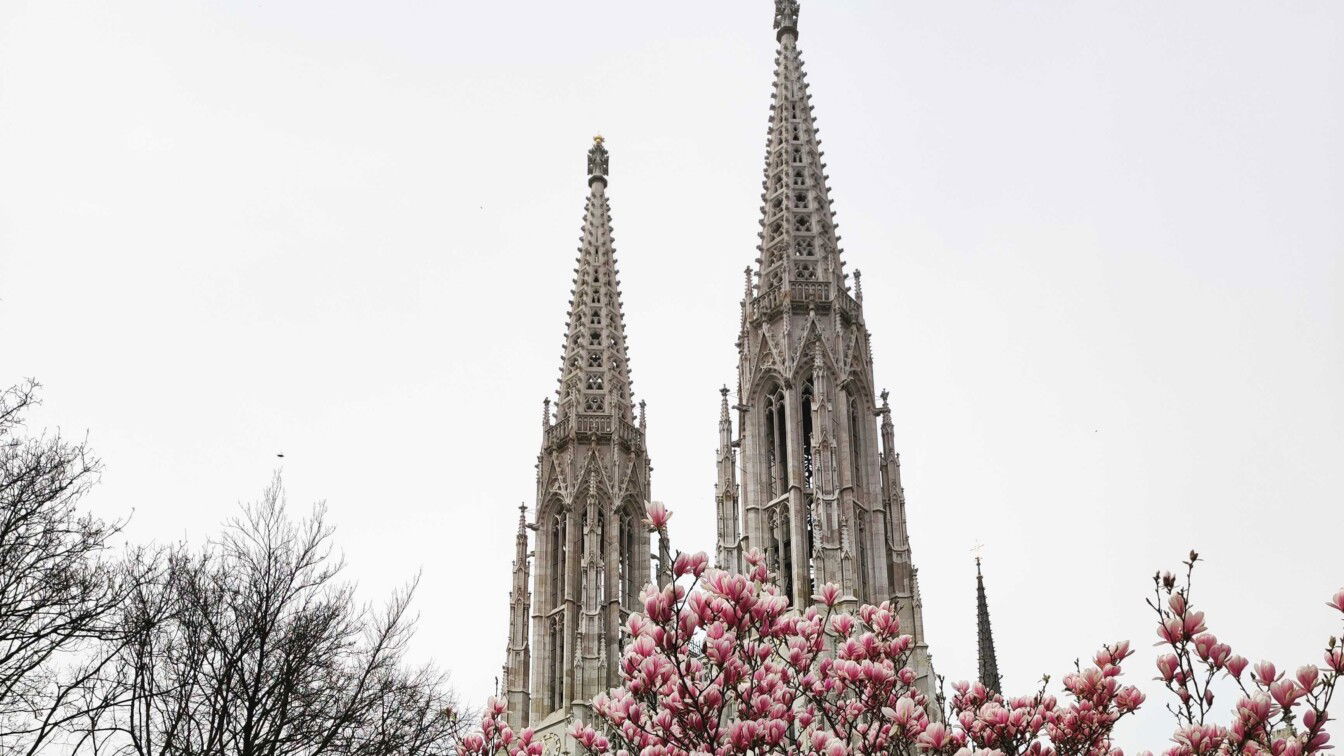 (c) Viktoria Klimpfinger | 1000things Votivkirche Frühling