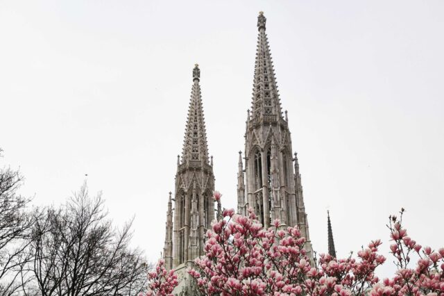 Votivkirche Frühling