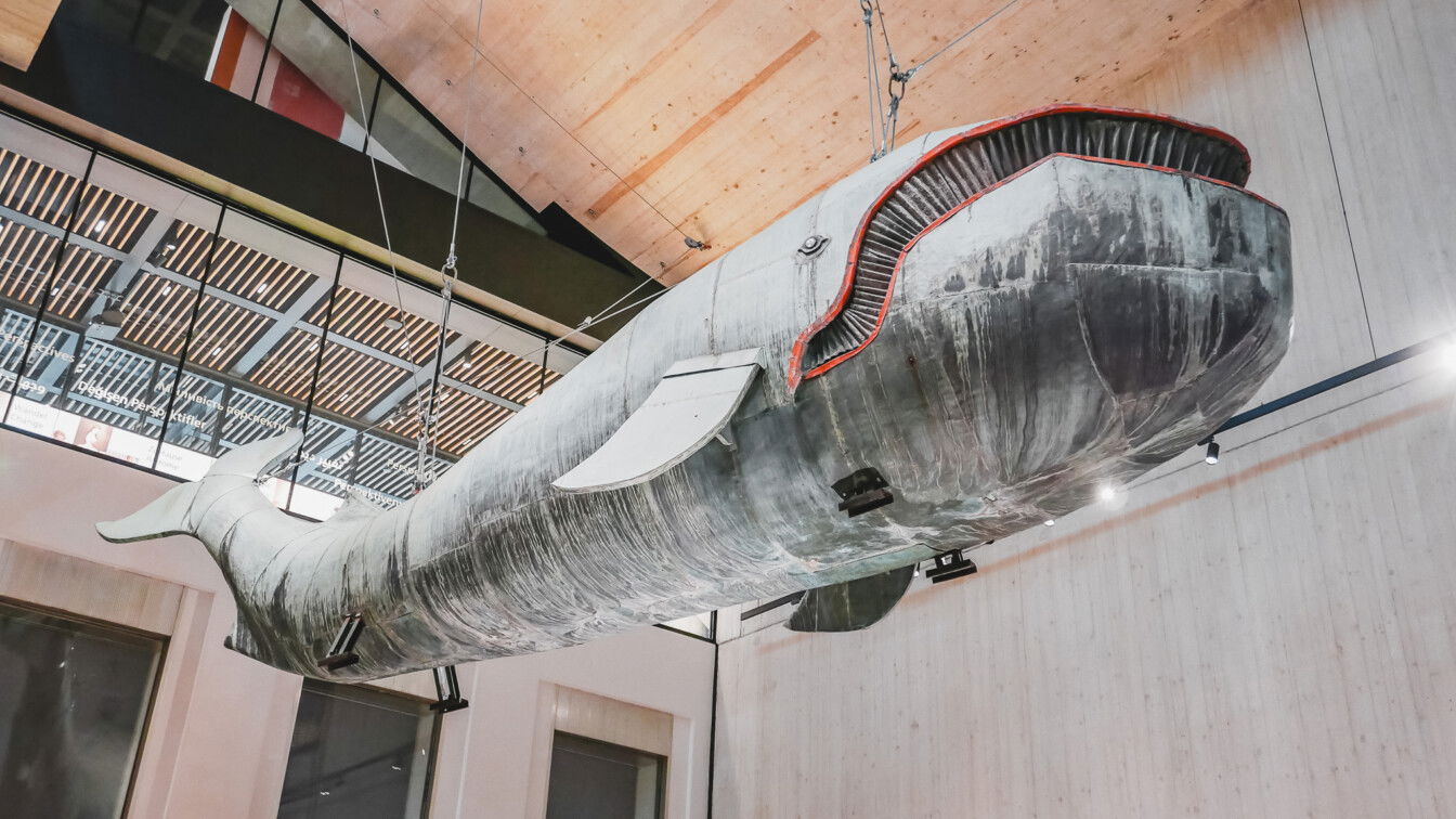 (c) Lilli Wermuth | 1000things Der Wal im neuen Wien Museum