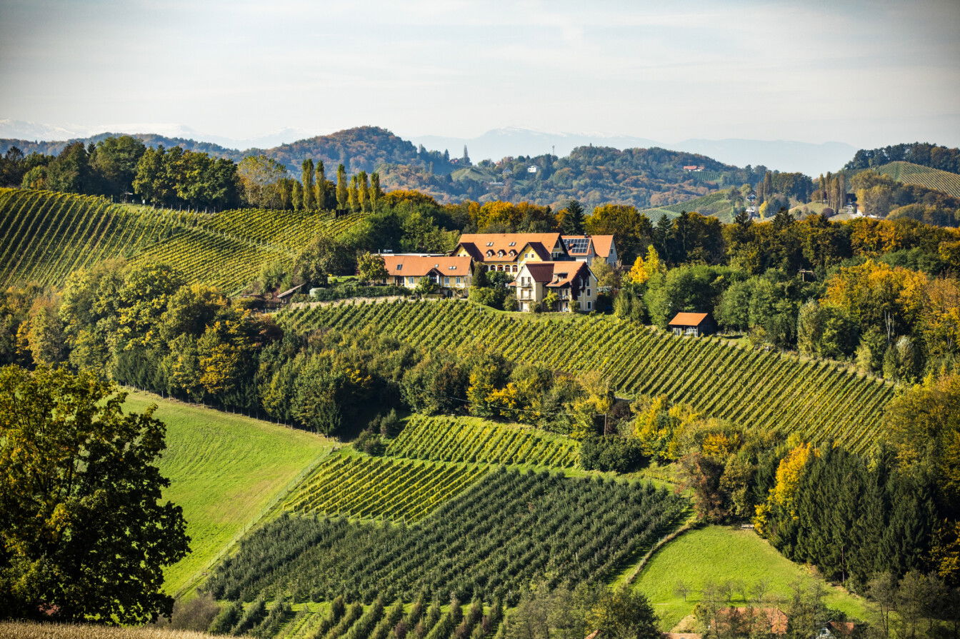 Sattlerhof Genießerhotel und Weingut Südteiermark