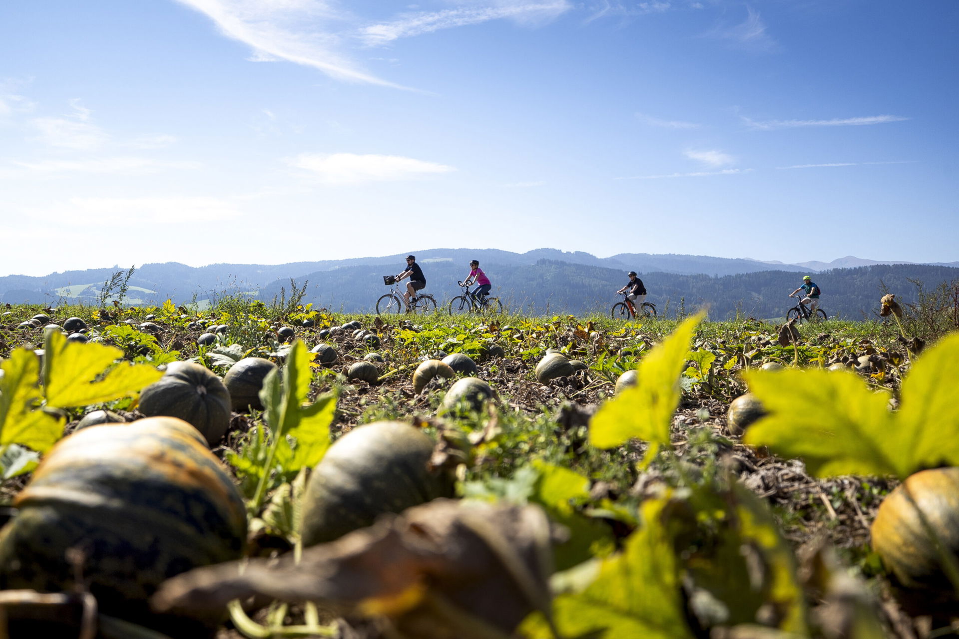 Steiermark Tourismus