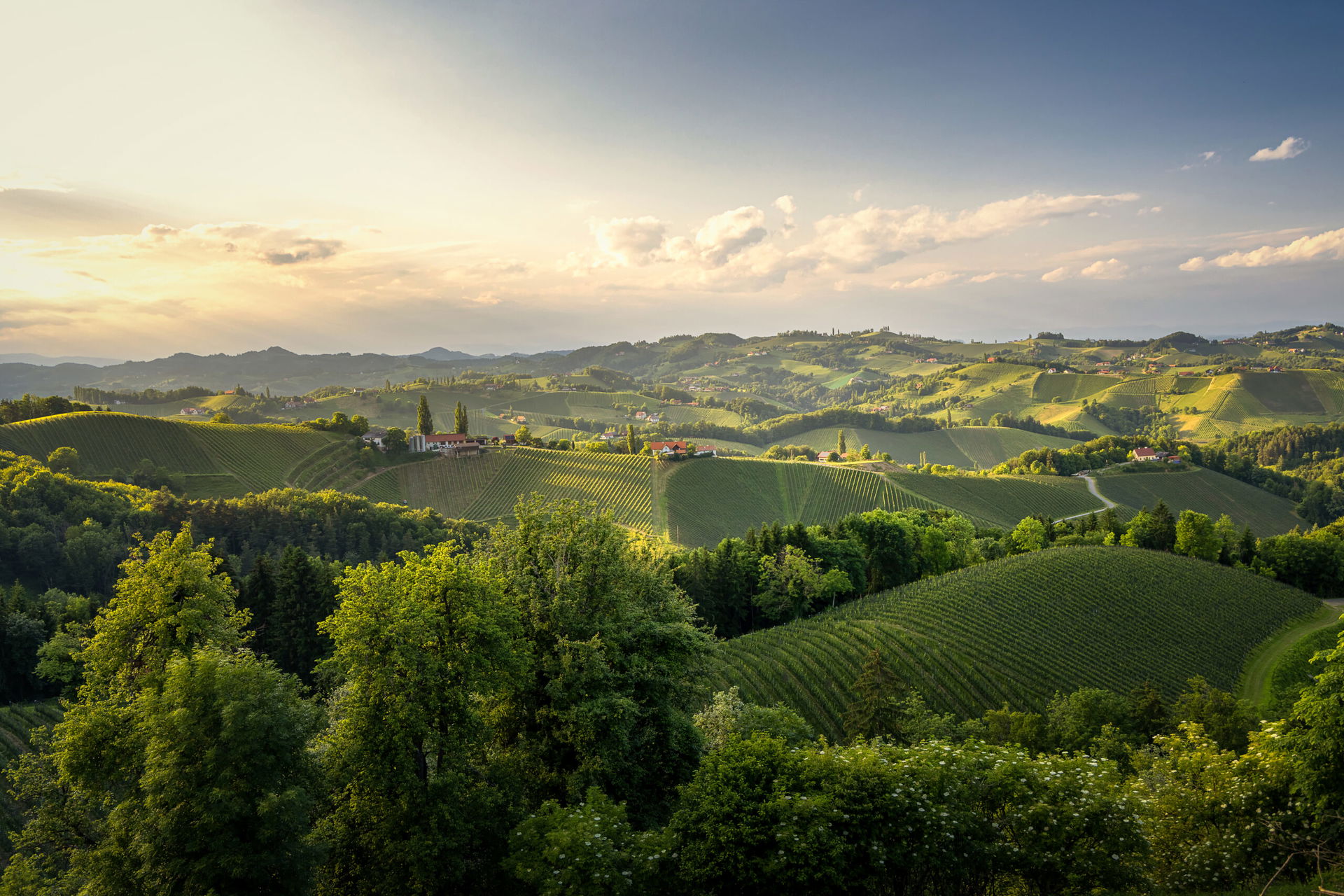 Südsteiermark