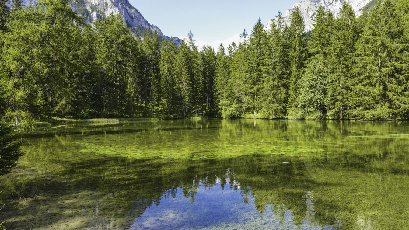(c) STG | Atelier Jungwirth / allOver Grüner See in Tragöß mit blauem Himmel und Spiegelung