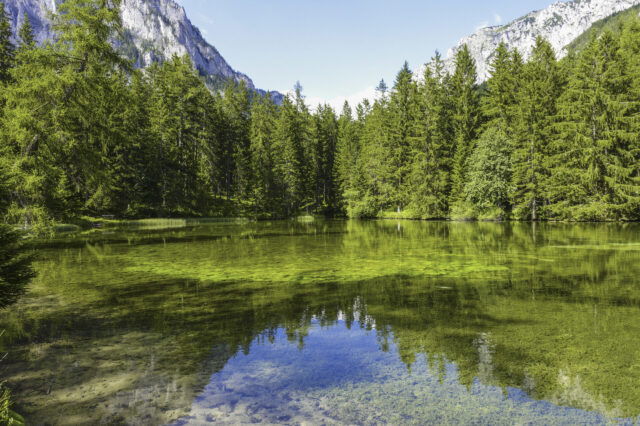 Grüner See in Tragöß mit blauem Himmel und Spiegelung
