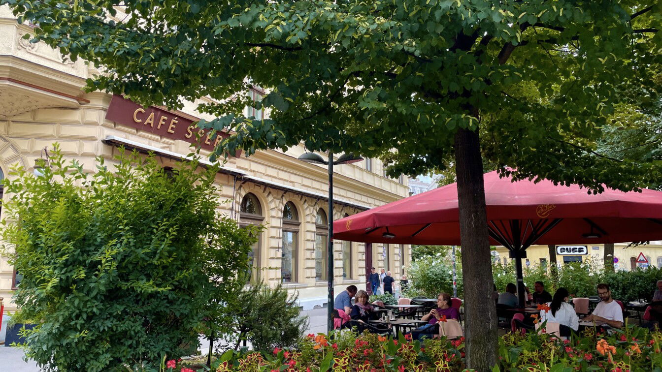 (c) Julia Scheriau | 1000things Blick in den grünen Gastgaten vom Café Sperl