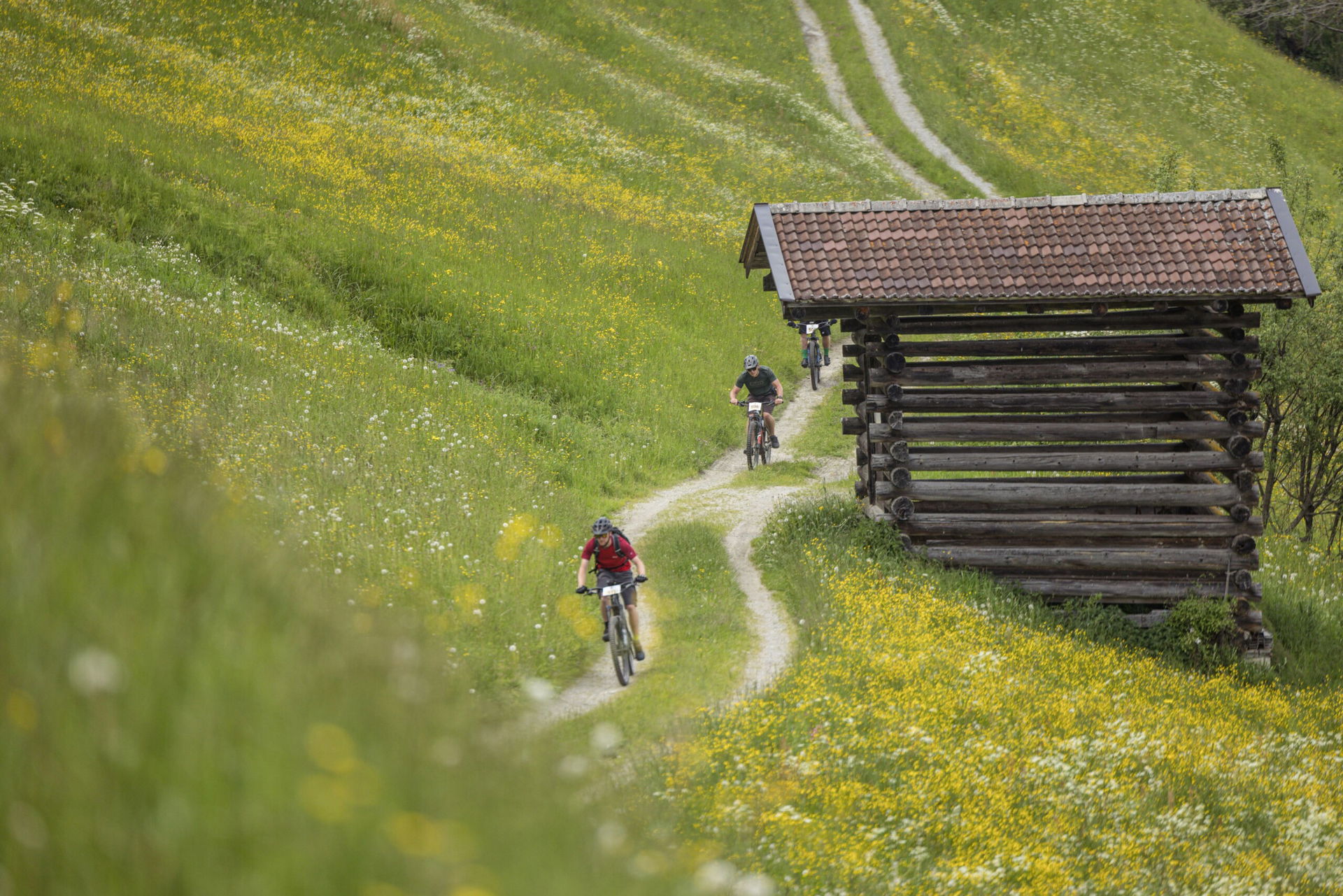 Alpbachtal Tourismus