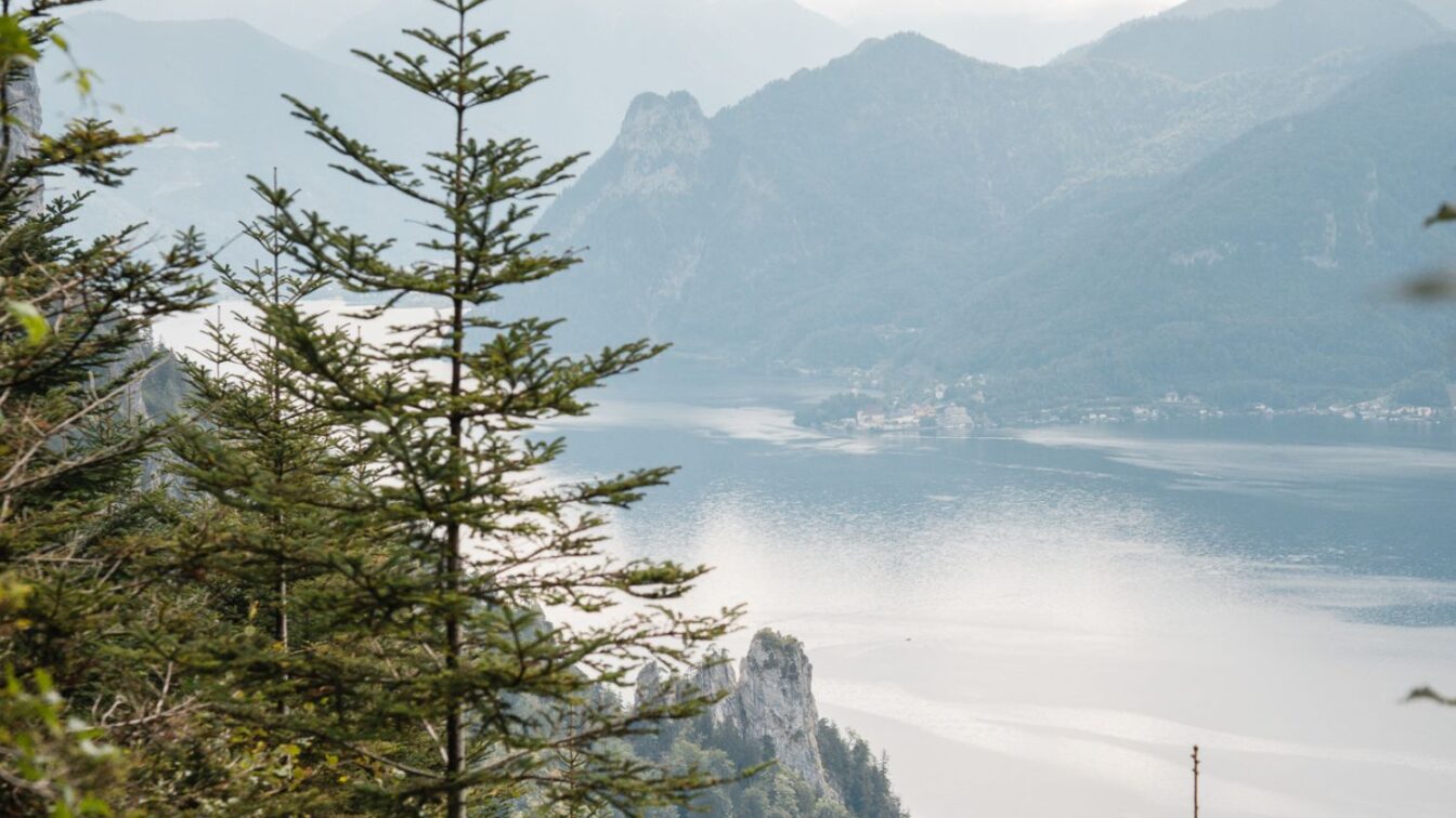 (c) Lilli Wermuth | 1000things Grünberg am Traunsee bei Nebel.