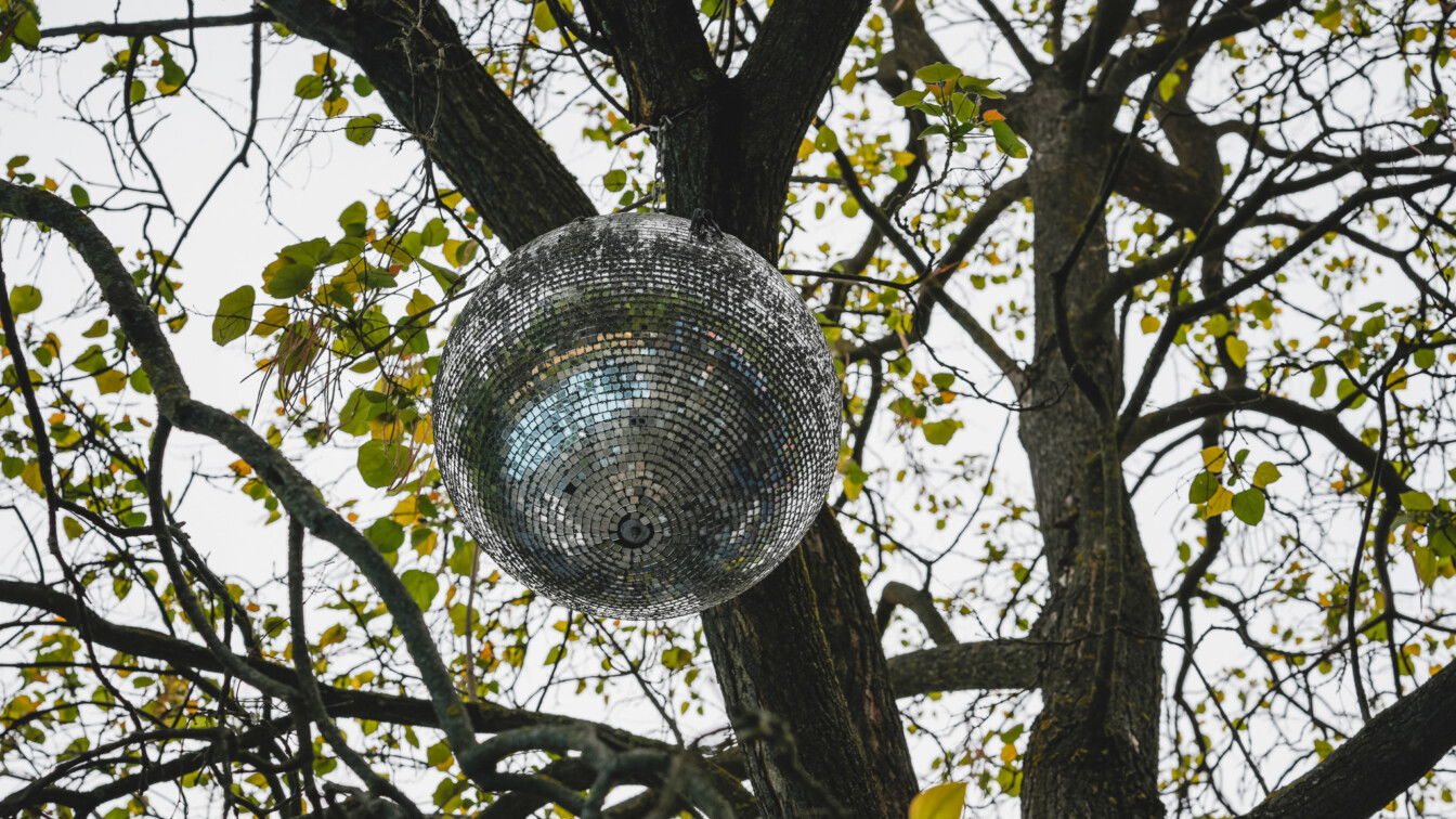 (c) Lilli Wermuth | 1000things