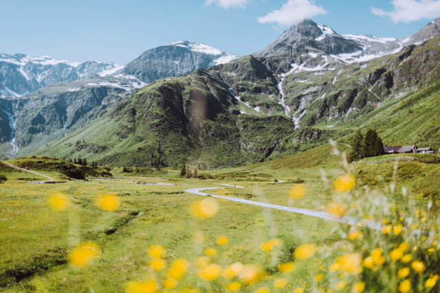 Gasteinertal im Sommer mit blühenden Wiesen und Bergpanorma