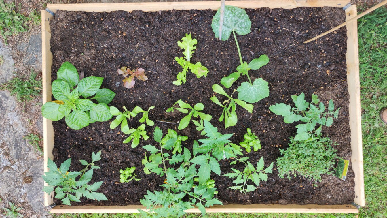 (c) Viktoria Klimpfinger | 1000things Beet bauen Anleitung