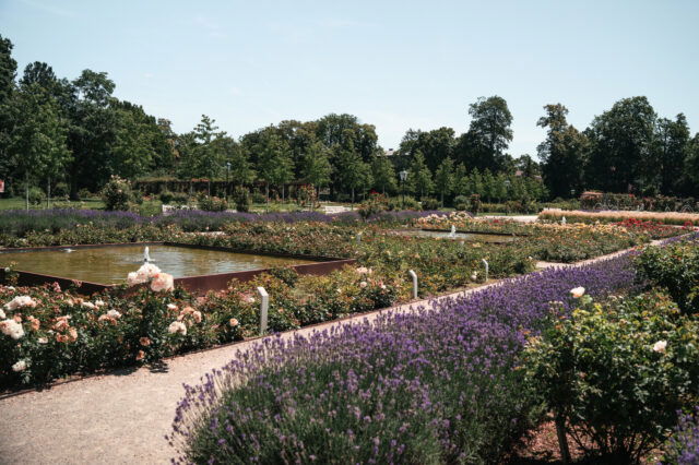Baden Tourismus