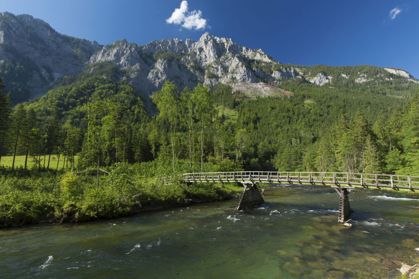 Entlang der Salza in der grünen Steiermark wandern