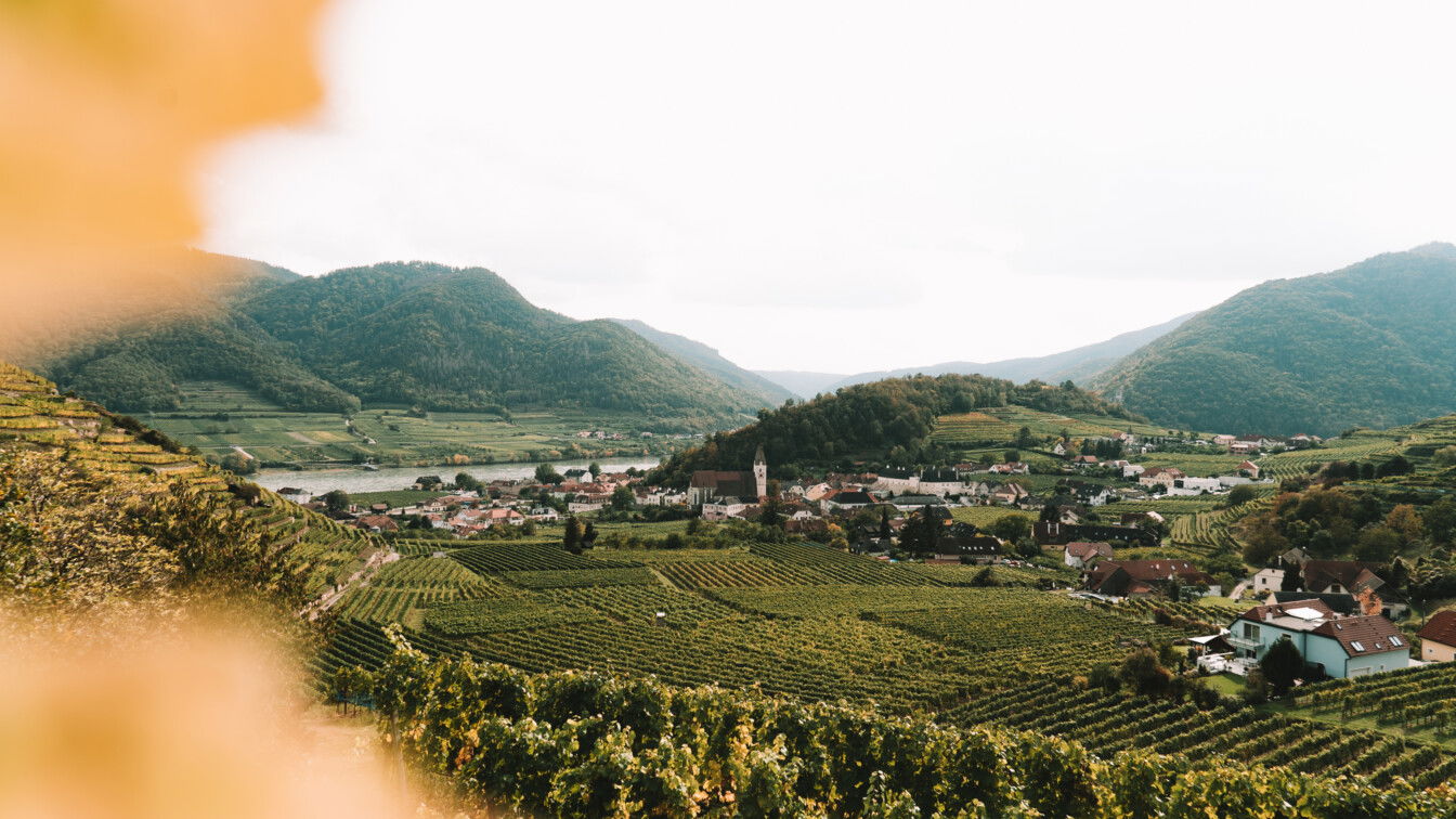(c) Katharina Tesch | 1000things Wachau