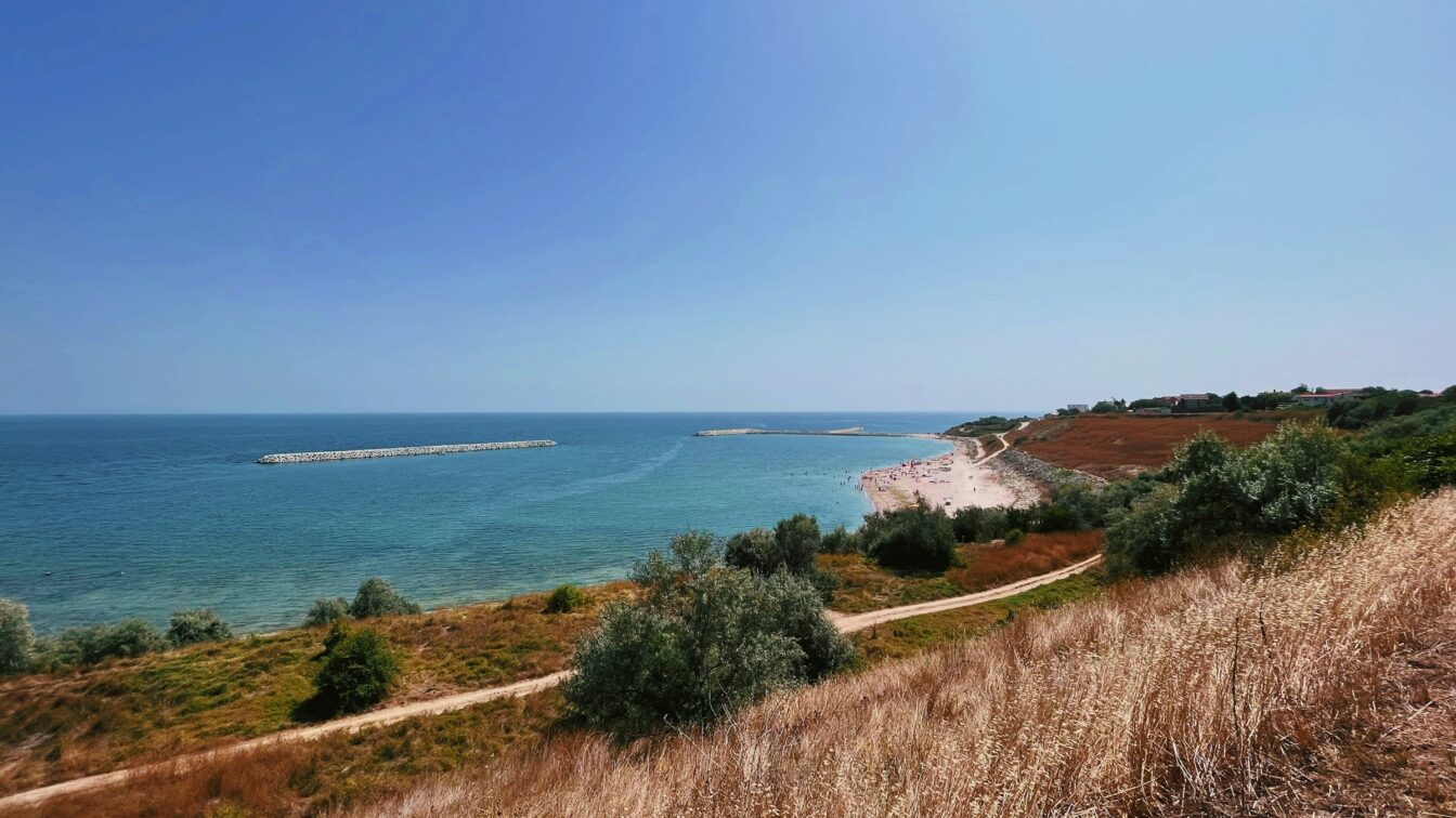 Eine Dpnenlandschaft am Meer mit Gräsern