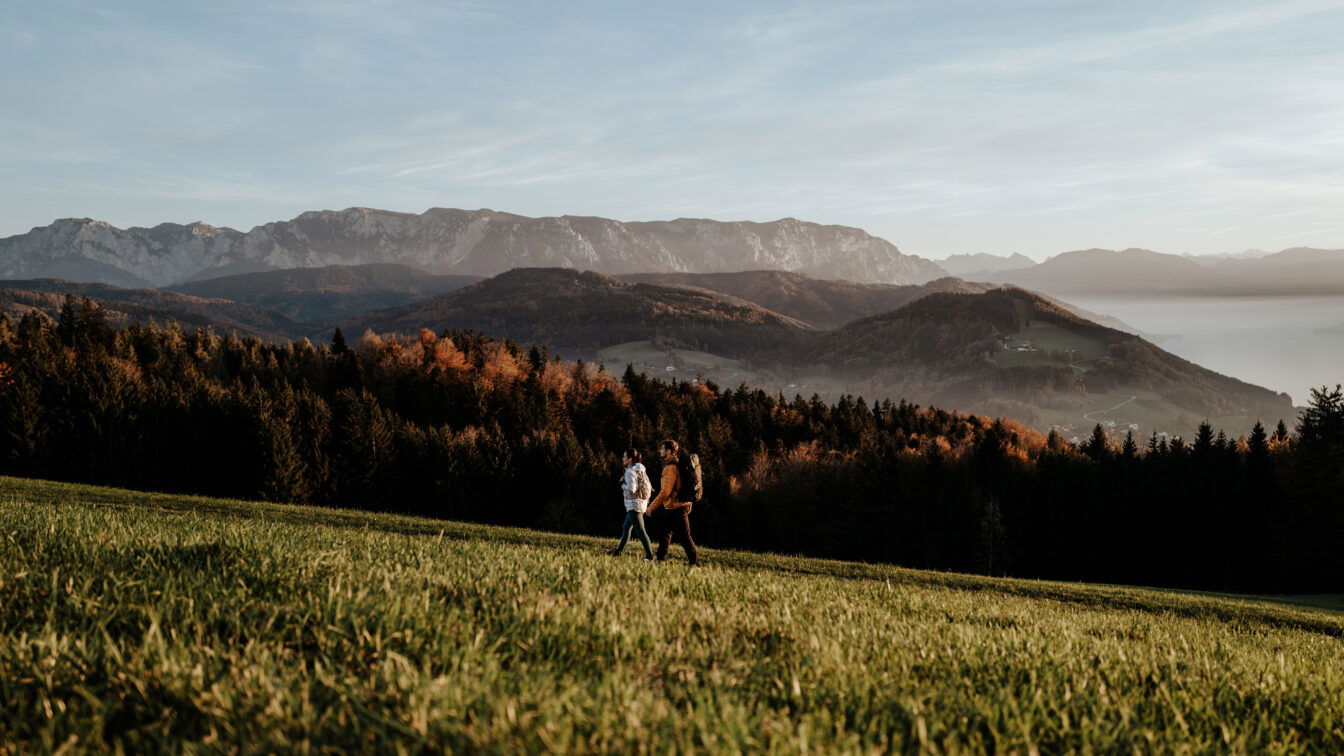 (c) Oberösterreich Tourismus GmbH | Matthias Klugsberger Gahberg Oberösterreich: Bergpanorama im Herbst