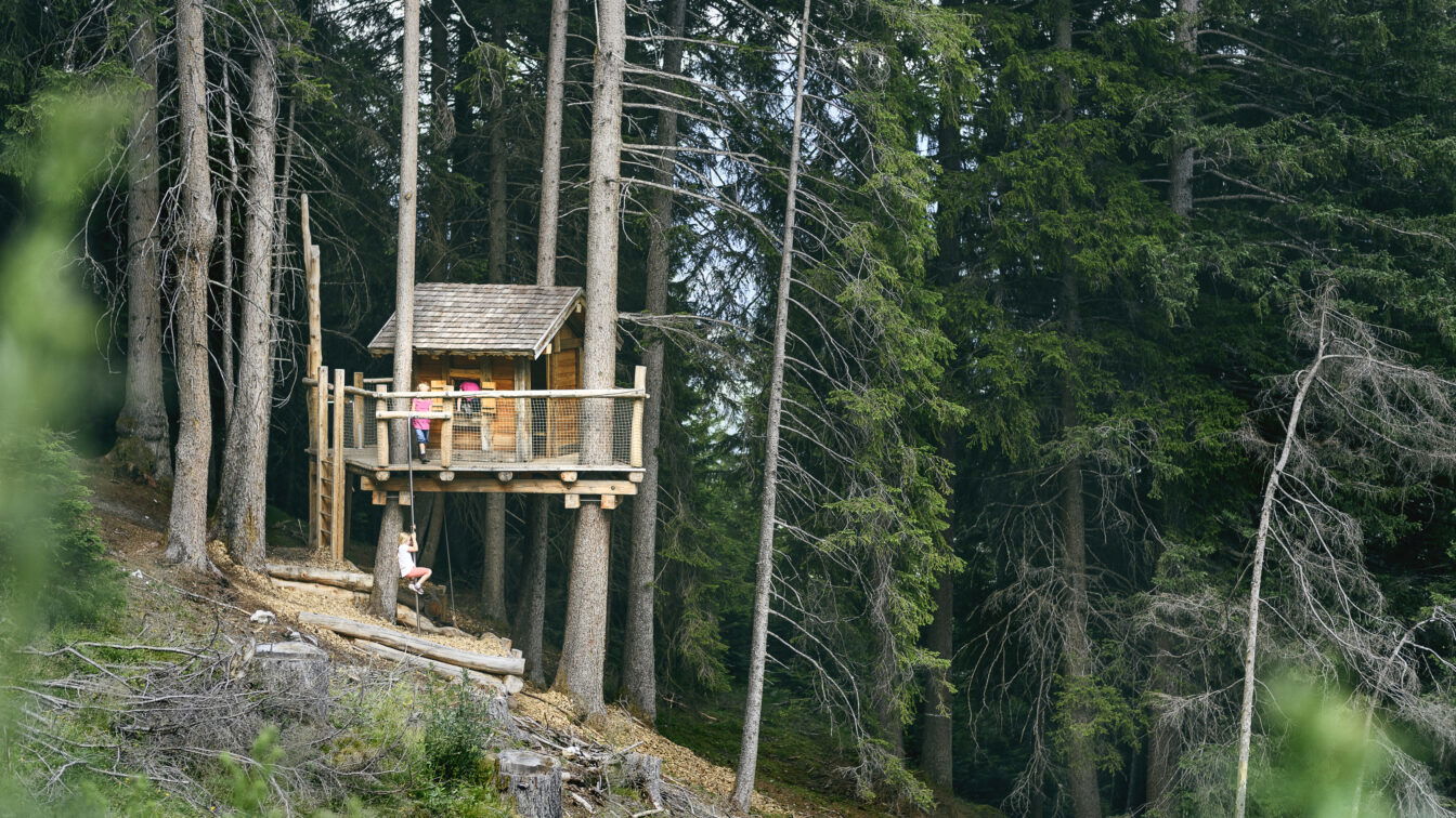(c) TVB Stubai | Andre Schönherr Stubai Baumhausweg