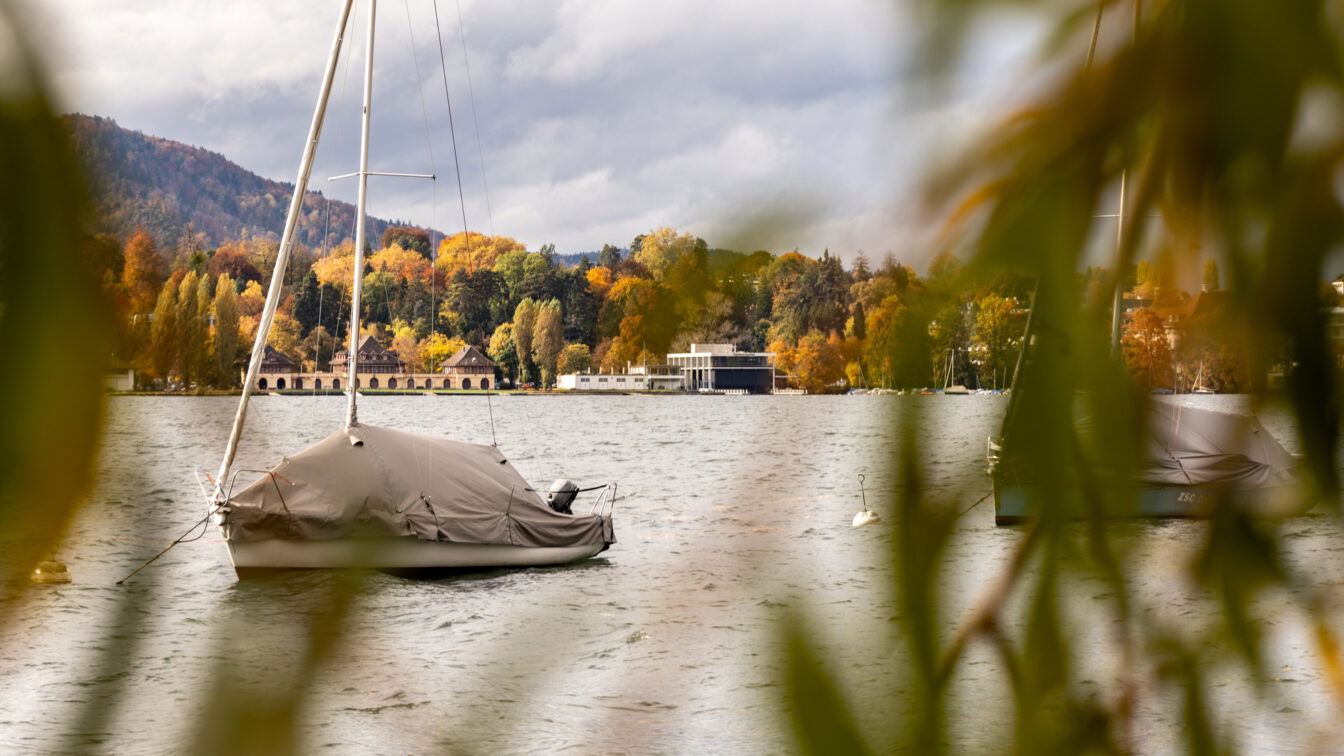 Blick durch herbstlich gefärbte Äste auf ein ruhiges Gewässer mit zwei abgedeckten Segelbooten, die vor Anker liegen. Im Hintergrund sind farbenfrohe Bäume, Gebäude am Ufer und bewaldete Hügel unter einem bewölkten Himmel zu sehen.“